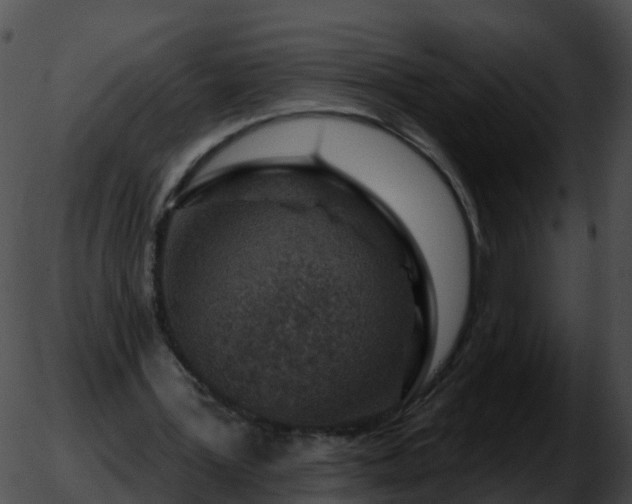 X0000051890387200507020101