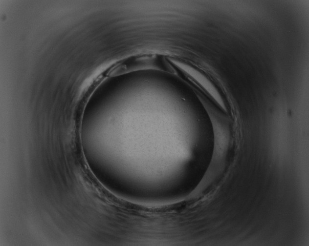 X0000051890388200507020101