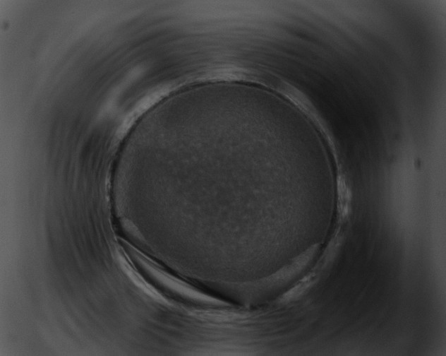 X0000051890389200507020101