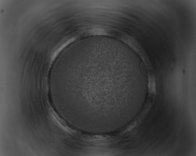 X0000051890390200507020101