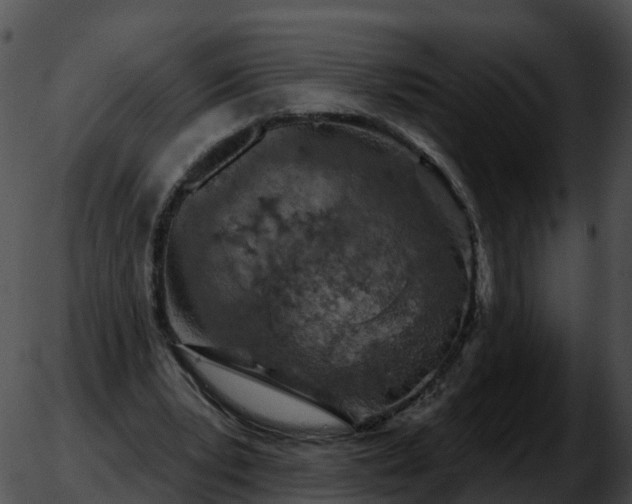 X0000051890391200507020101