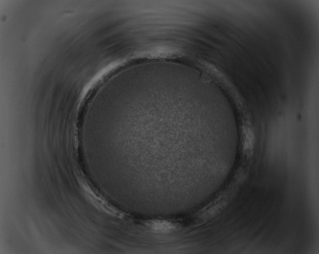 X0000051890392200507020101