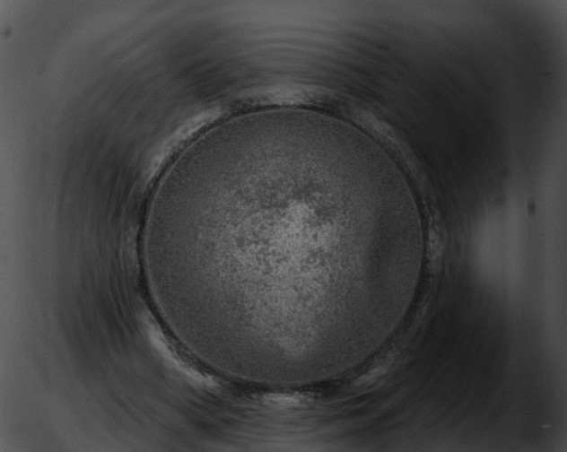 X0000051890394200507020101