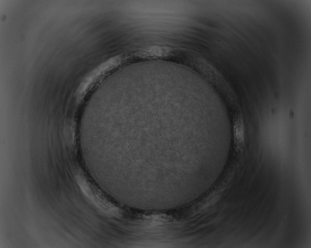 X0000051890396200507020101