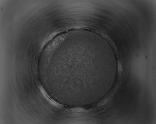 X0000051890397200507020101