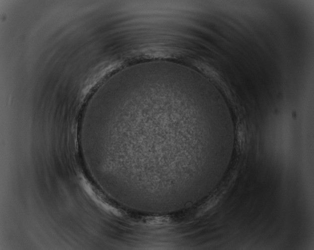 X0000051890398200507020101