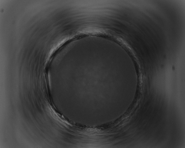 X0000051890399200507020101