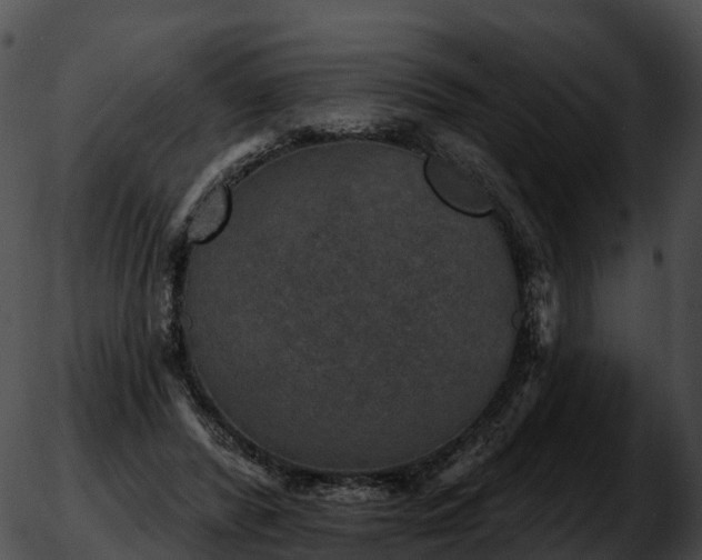 X0000051890400200507020101