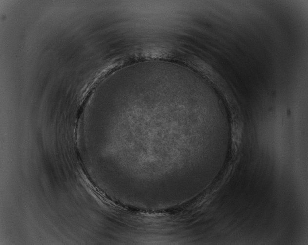 X0000051890401200507020101