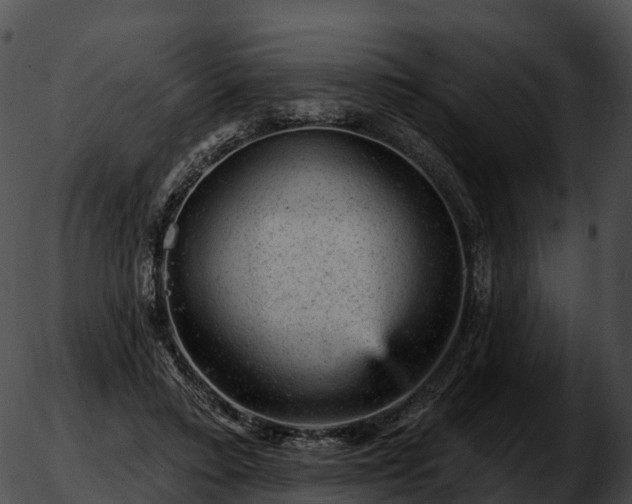 X0000051890403200507020101