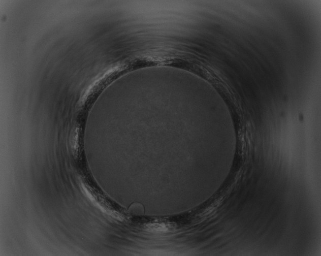 X0000051890404200507020101