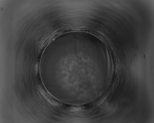 X0000051890405200507020101