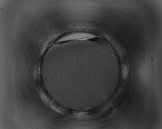 X0000051890407200507020101