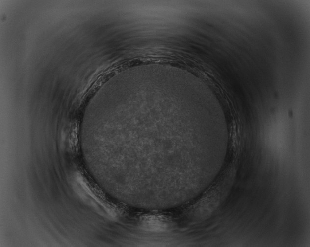 X0000051890408200507020101