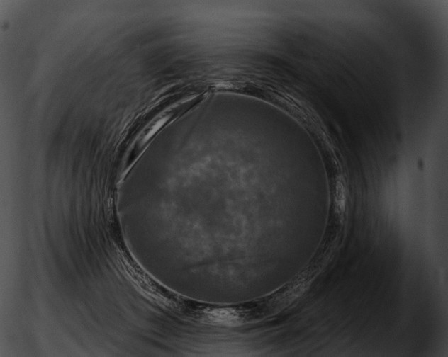 X0000051890409200507020101