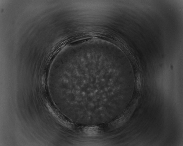 X0000051890410200507020101