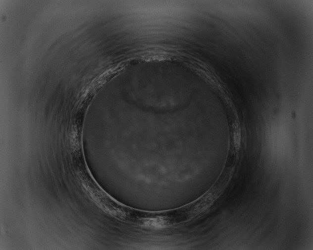 X0000051890411200507020101