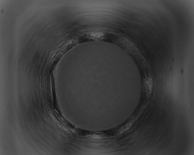 X0000051890412200507020101