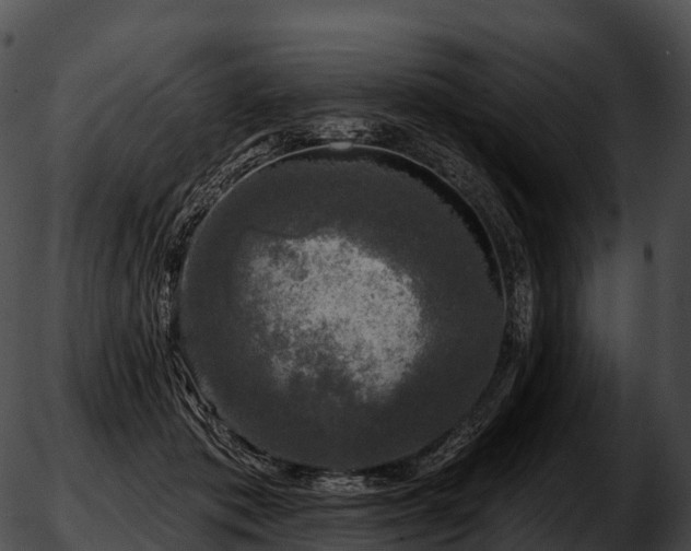 X0000051890413200507020101