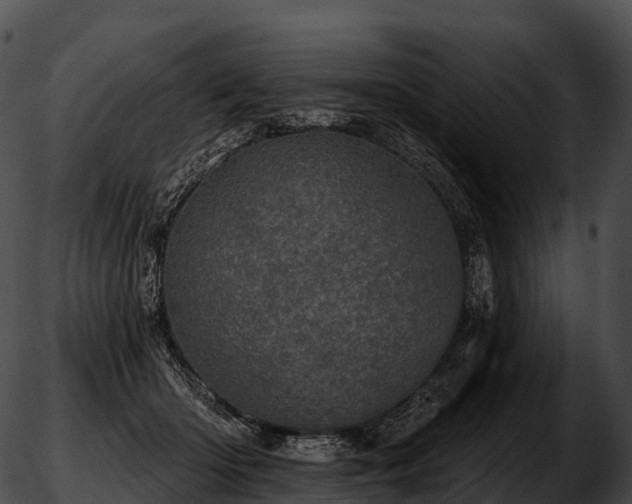 X0000051890414200507020101