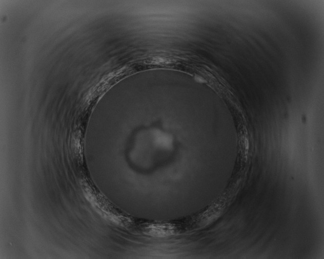 X0000051890415200507020101