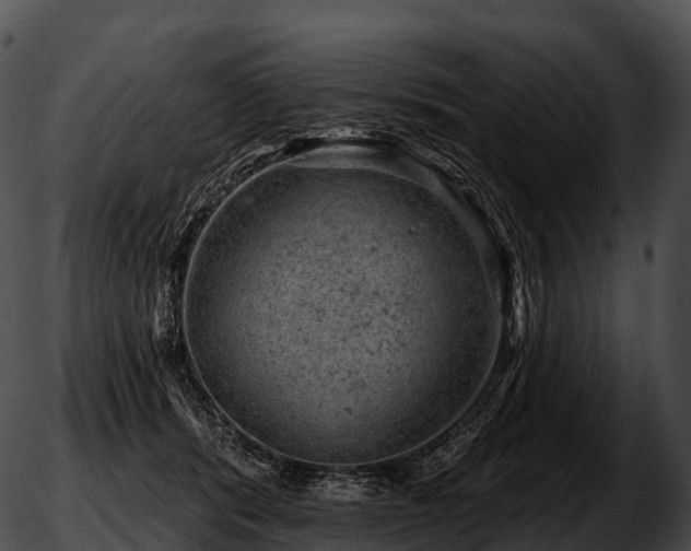 X0000051890416200507020101