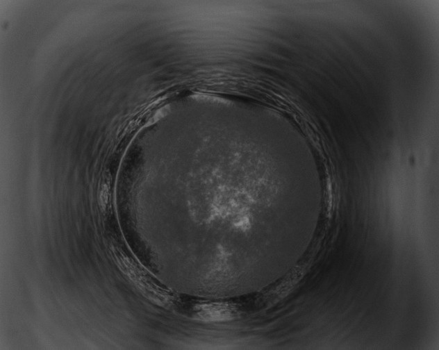 X0000051890417200507020101