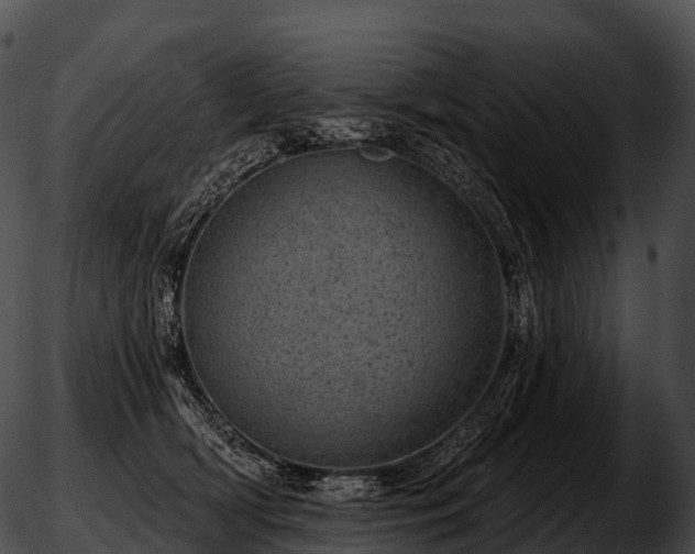 X0000051890418200507020101