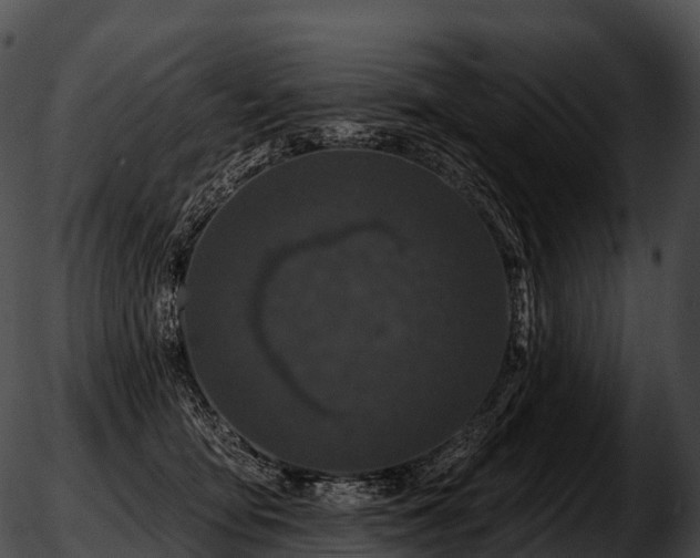 X0000051890419200507020101