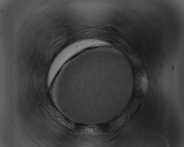 X0000051890420200507020100