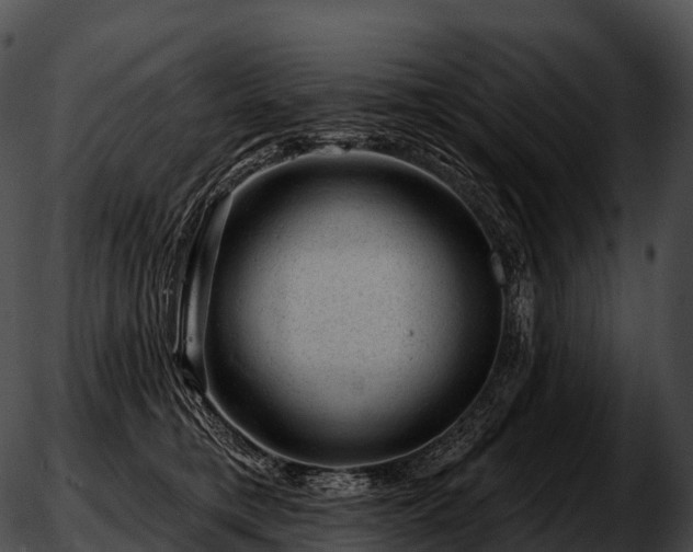 X0000051890421200507020100