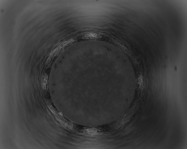 X0000051890423200507020100