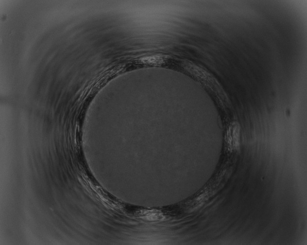 X0000051890424200507020100