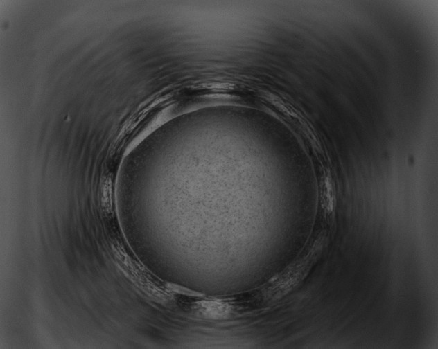 X0000051890425200507020100