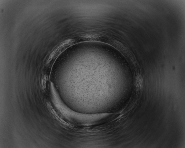 X0000051890428200507020100