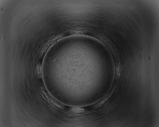 X0000051890429200507020100