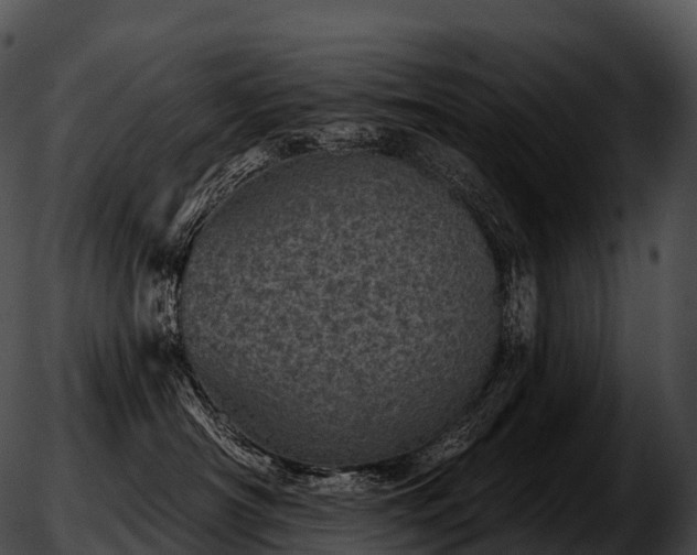 X0000051890430200507020100