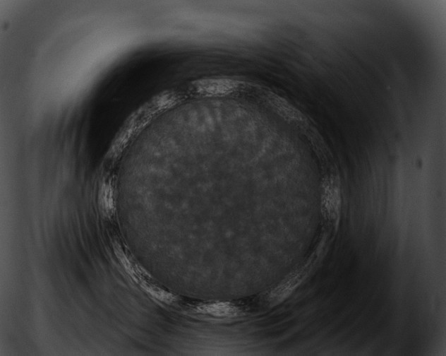 X0000051890431200507020100