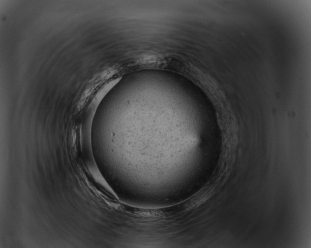 X0000051890432200507020100