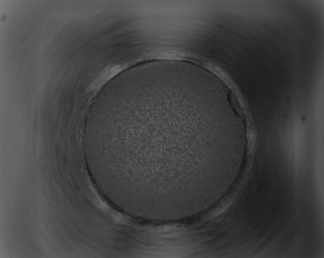 X0000051890433200507020100