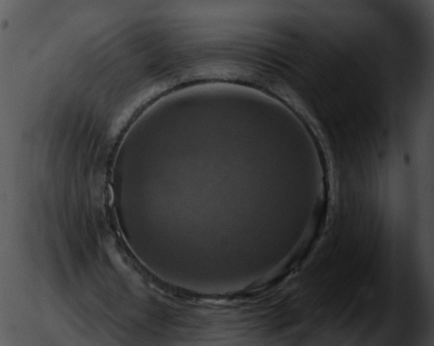 X0000051890434200507020100