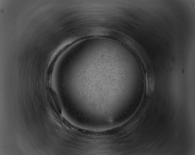 X0000051890435200507020100