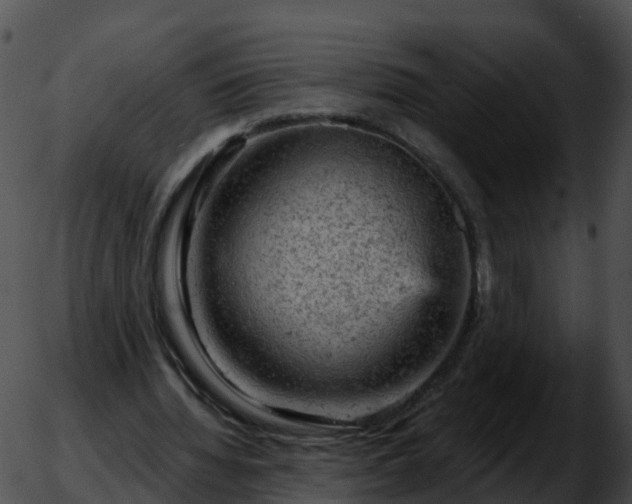 X0000051890436200507020100