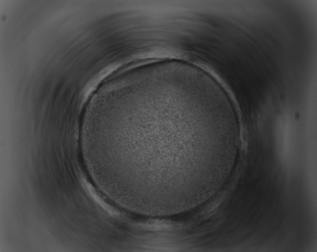 X0000051890437200507020100