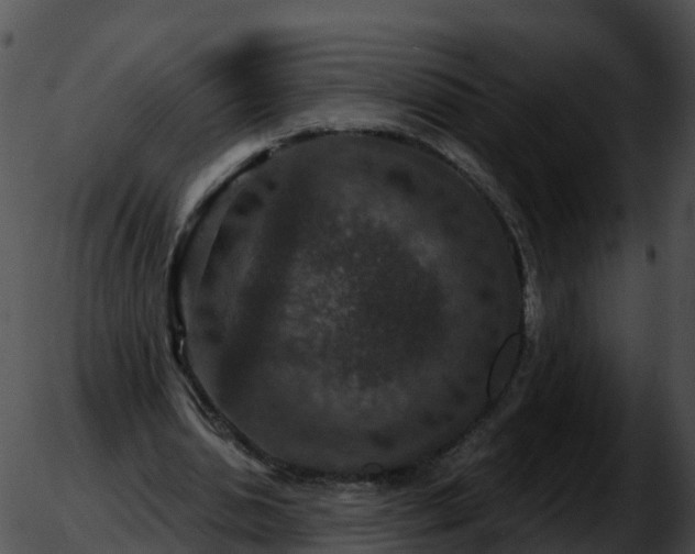 X0000051890438200507020100