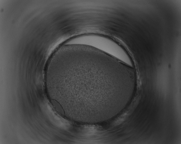 X0000051890439200507020100