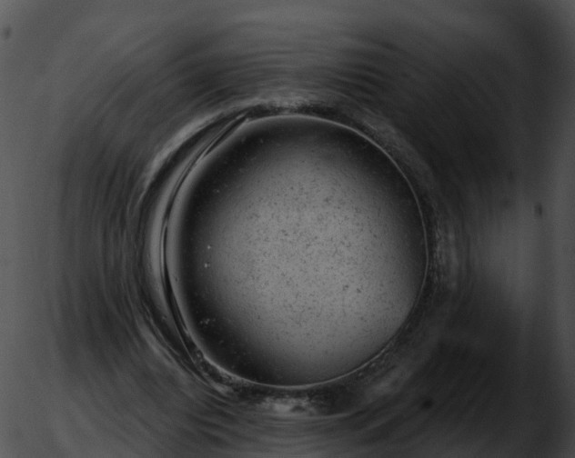 X0000051890440200507020100