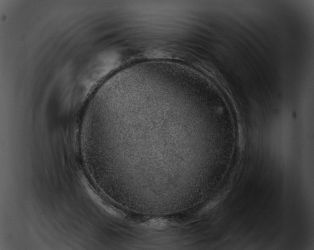 X0000051890441200507020100