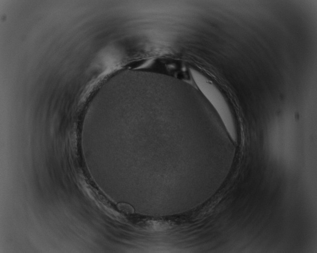 X0000051890442200507020100