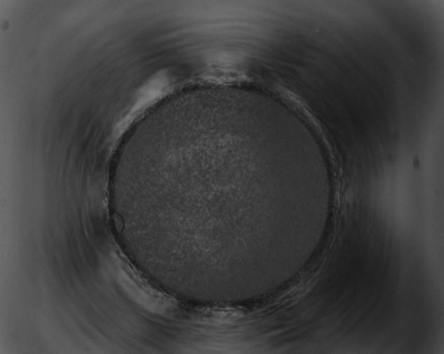 X0000051890443200507020100